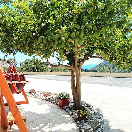 Appartamento Eirini Kéfalos Esterno foto